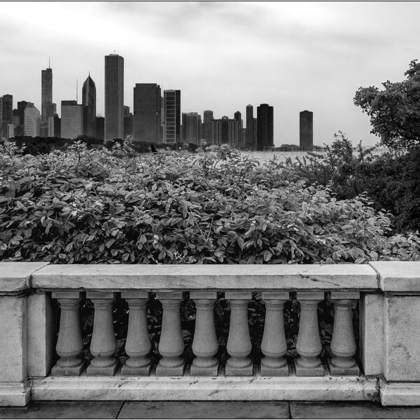  Chicago (Illinois): veduta dal Museum Campus - © Massimo Vespignani