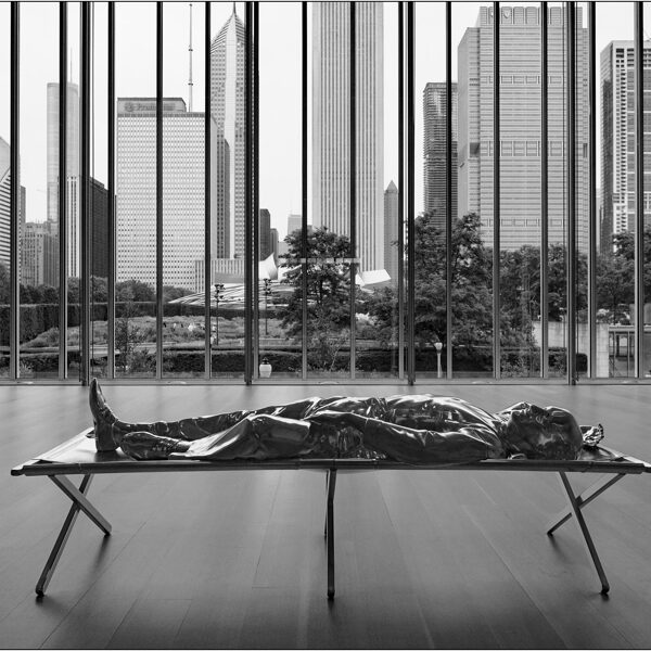  Chicago (Illinois): Art Institute of Chicago (Modern Wing) - © Massimo Vespignani