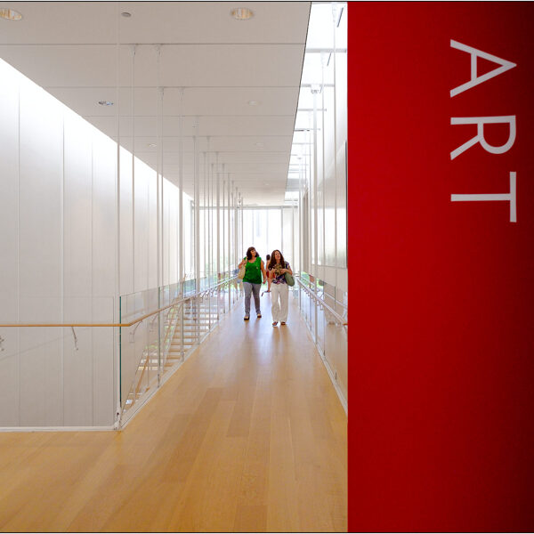  Chicago (Illinois): Art Institute of Chicago (Modern Wing) - © Massimo Vespignani