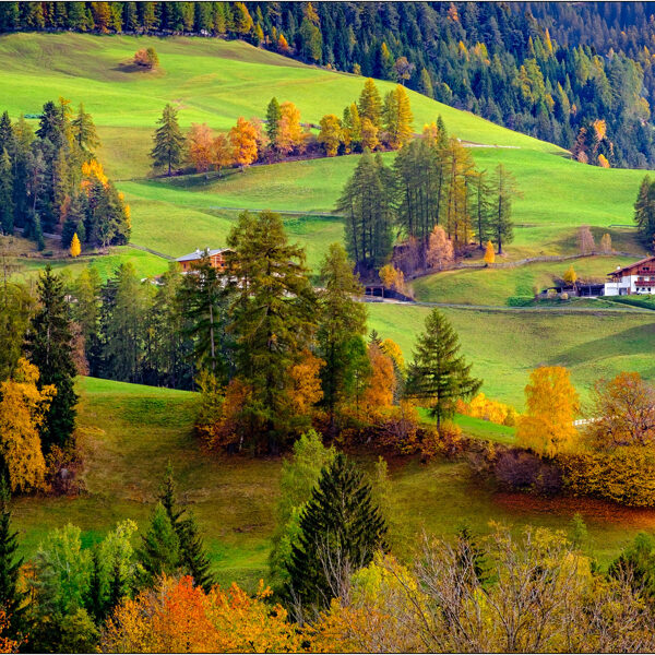 Dolomiti (Italia): colori autunnali in Val di Funes - © Massimo Vespignani