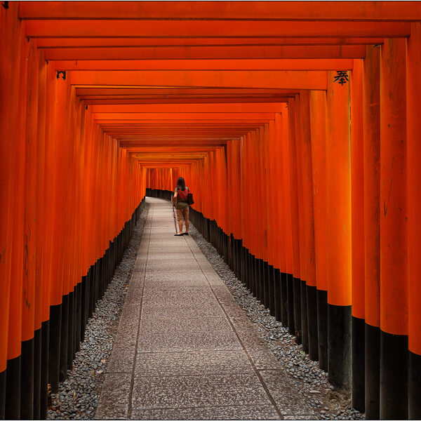  Le porte torii a Fushimi Inari-taisha (Giappone) - © Massimo Vespignani