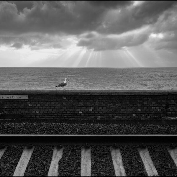 Stazione ferroviaria di Manarola (Italia) - © Massimo Vespignani