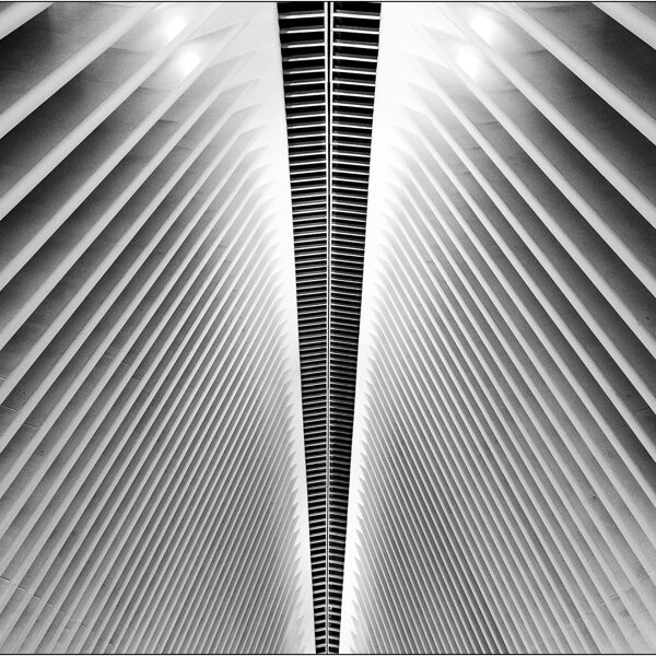 New York: costolature dell'hub ferroviario al World Trade Center - © Massimo Vespignani