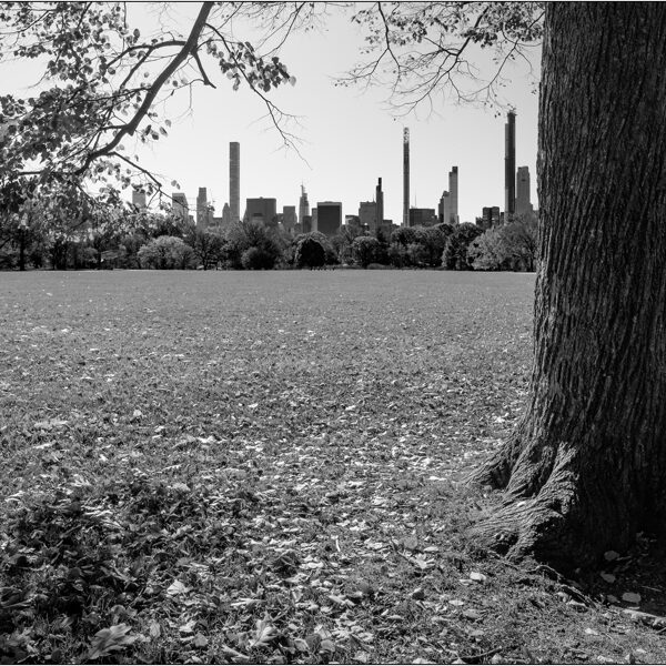 New York:  The Great Lawn all'interno di Central Park - © Massimo Vespignani