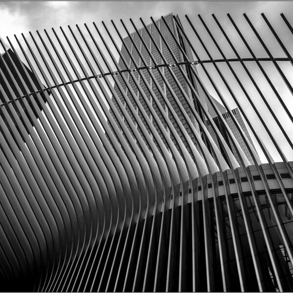New York: costolature esterne dell'Oculus World Trade Center - © Massimo Vespignani