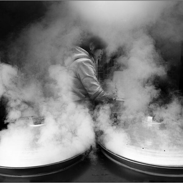  Seoul: Mandu, Gangnam (Corea del Sud) - © Massimo Vespignani