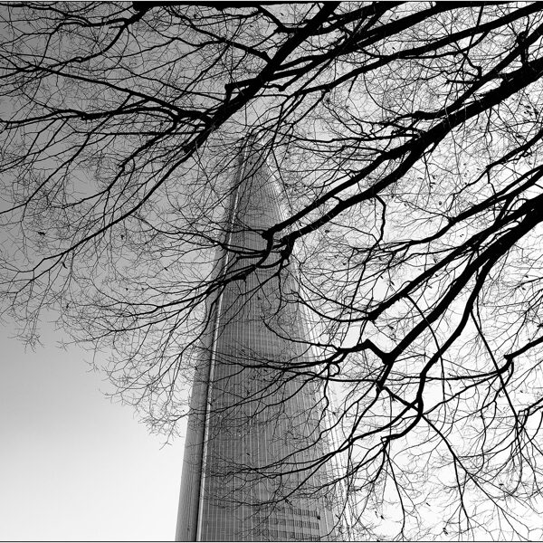  Seoul (Corea del Sud): Lotte World Tower - © Massimo Vespignani