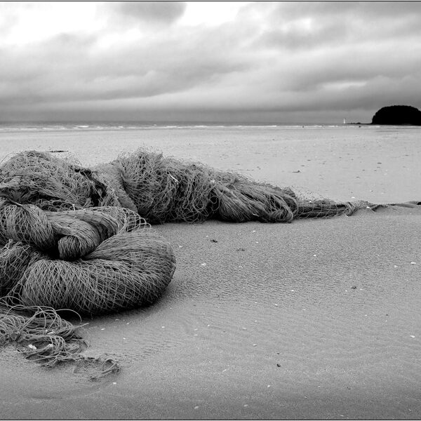 Corea del Sud: spiaggia sul Mar Giallo- © Massimo Vespignani