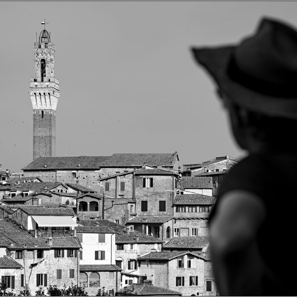 Siena (Italia): belvedere di piazza San Domenico - © Massimo Vespignani