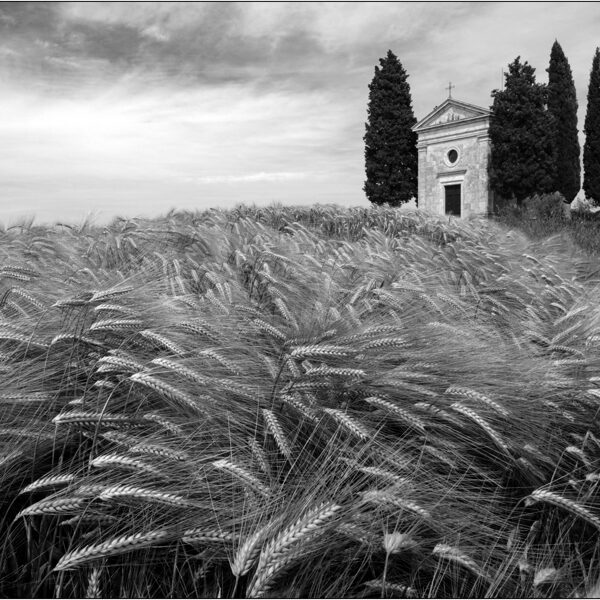San Quirico d'Orcia (Italia): cappella della Madonna di Vitaleta - © Massimo Vespignani