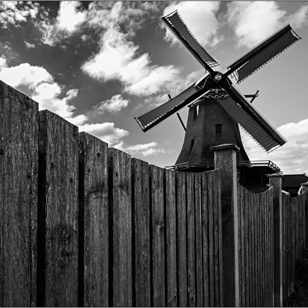  Zaanse Schans (Paesi Bassi) - © Massimo Vespignani