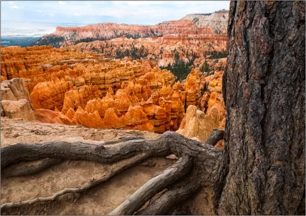  Bryce Canyon National Park (Utah) - © Massimo Vespignani