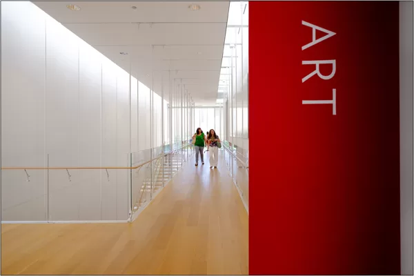  Chicago (Illinois): Art Institute of Chicago (Modern Wing) - © Massimo Vespignani