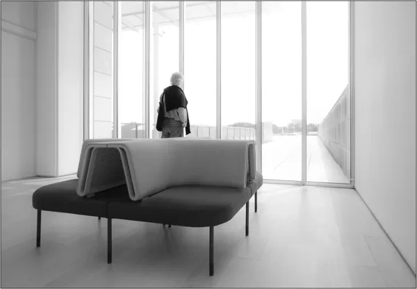  Chicago (Illinois): veranda dell'Art Institute of Chicago - © Massimo Vespignani