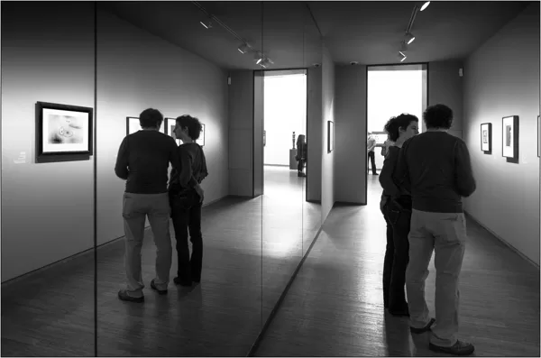  Vienna: Museo Albertina - © Massimo Vespignani