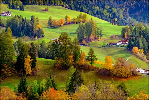 Dolomiti (Italia): colori autunnali in Val di Funes - © Massimo Vespignani