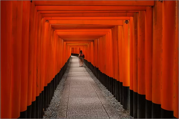 Le porte torii a Fushimi Inari-taisha (Giappone) - © Massimo Vespignani