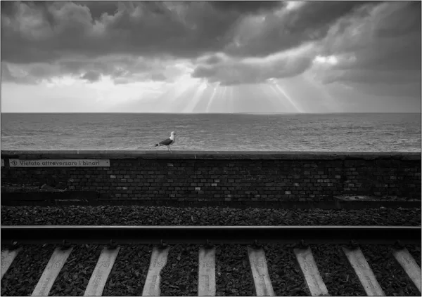 Stazione ferroviaria di Manarola (Italia) - © Massimo Vespignani