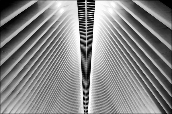 New York: costolature dell'hub ferroviario al World Trade Center - © Massimo Vespignani