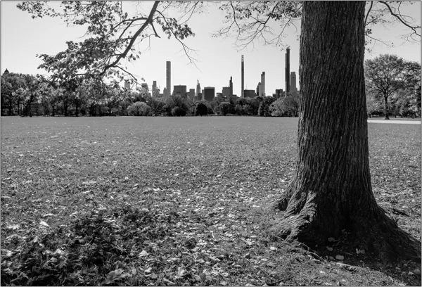 New York:  The Great Lawn all'interno di Central Park - © Massimo Vespignani