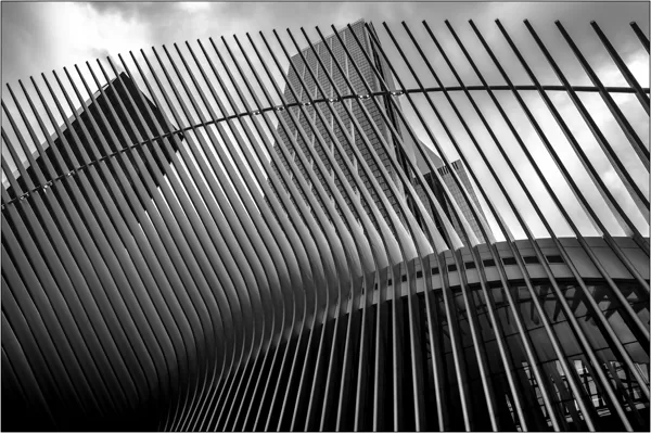 New York: costolature esterne dell'Oculus World Trade Center - © Massimo Vespignani