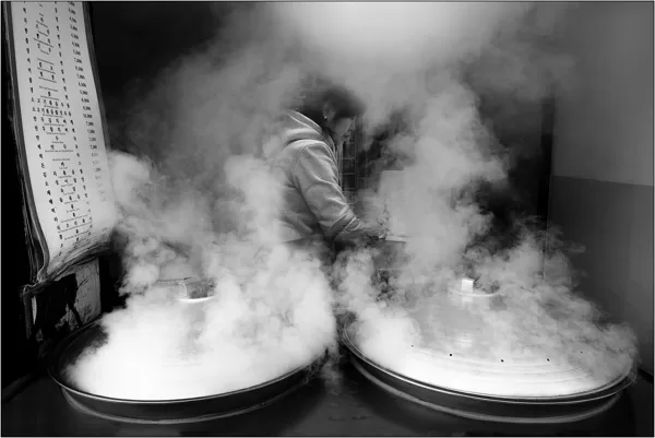  Seoul: Mandu, Gangnam (Corea del Sud) - © Massimo Vespignani
