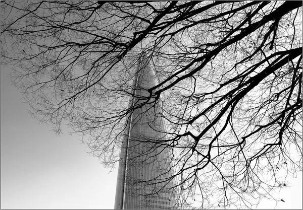  Seoul (Corea del Sud): Lotte World Tower - © Massimo Vespignani