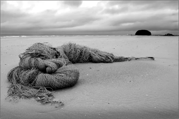 Corea del Sud: spiaggia sul Mar Giallo- © Massimo Vespignani