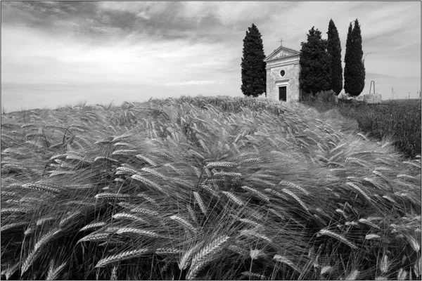 San Quirico d'Orcia (Italia): cappella della Madonna di Vitaleta - © Massimo Vespignani